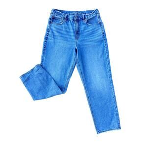 American Eagle high rise curvy 90s straight jeans size 14Lx31